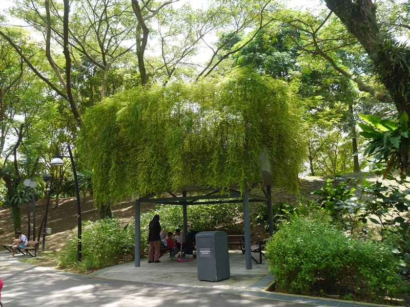 シンガポールのAdmiralty Park内のベンチ、休憩所