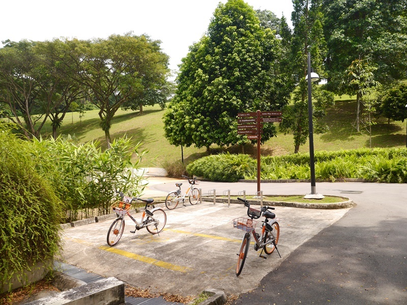シンガポールのAdmiralty Parkのウエストエントランスにあるシェア自転車の駐輪場